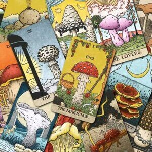 The Mushroom Hunter's Tarot Card Deck Kickstarter Edition Joe Buckley